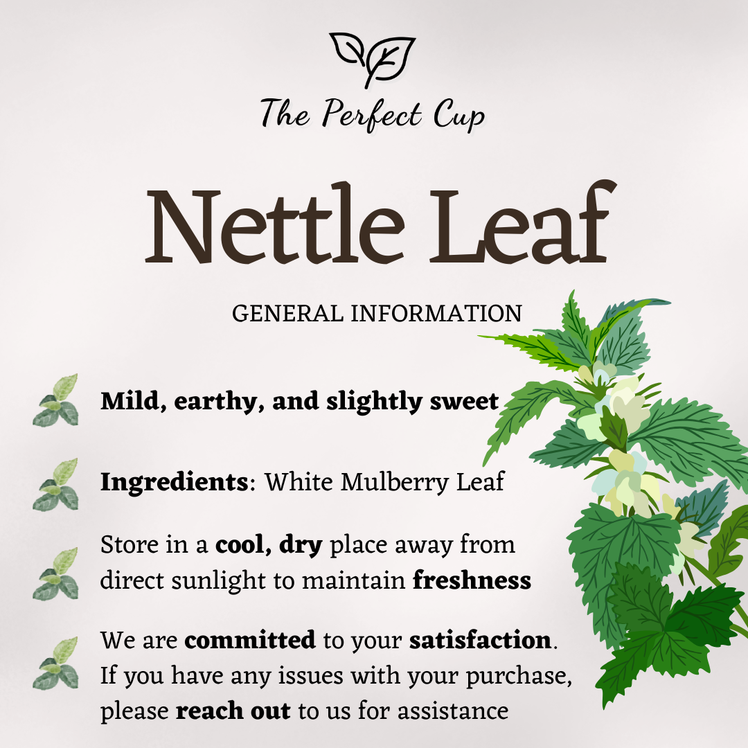 Nettle Leaf - Loose Leaf Herbal Tea