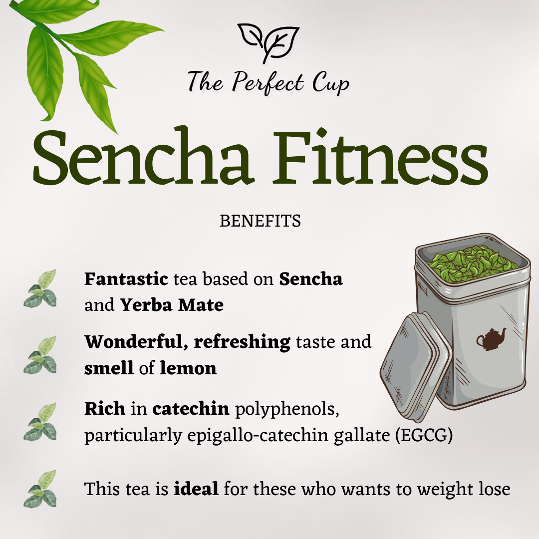 Fitness Sencha and Yerba - Loose Leaf Green Tea