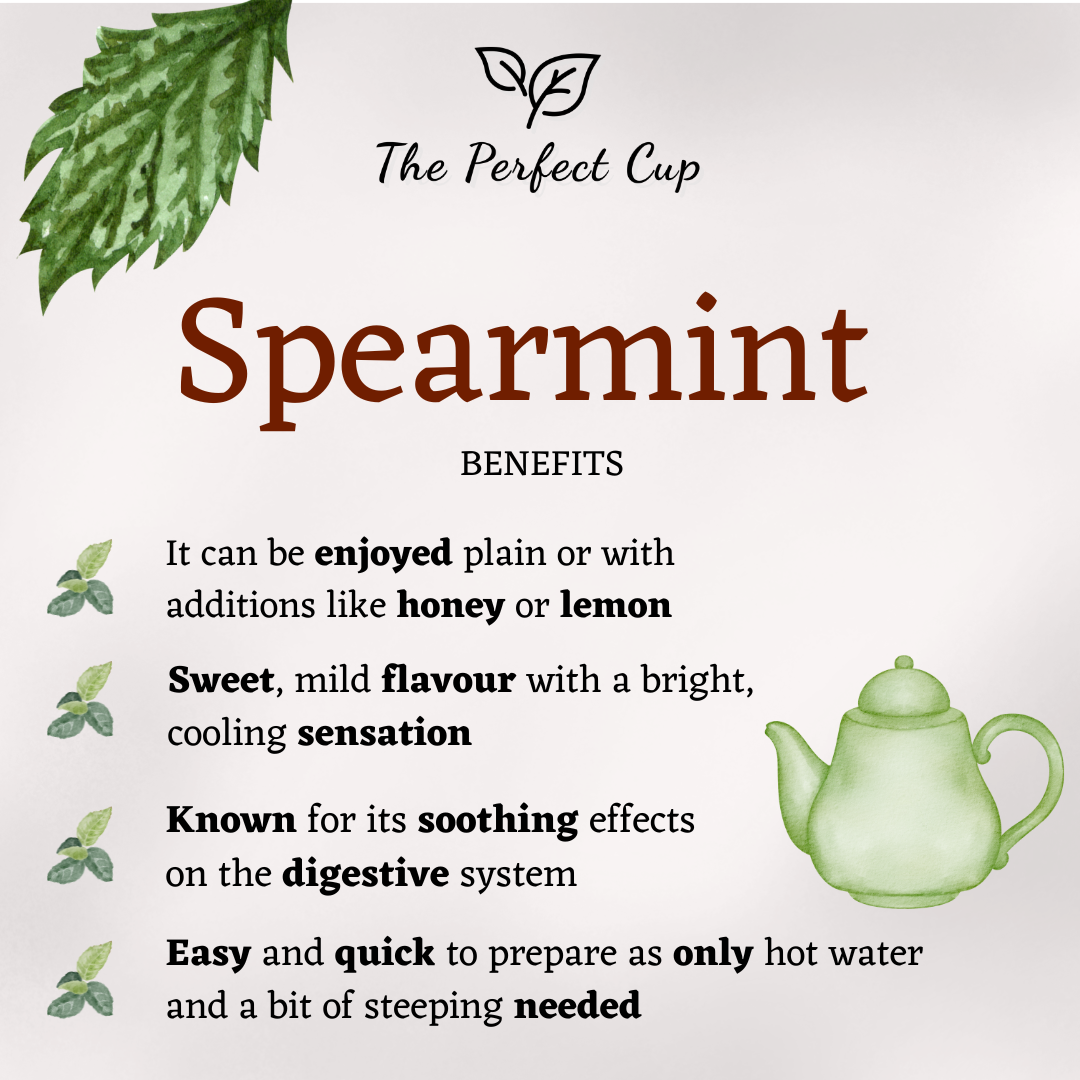 Spearmint - Loose Leaf Herbal Tea - Fine Grade Mint Leaves