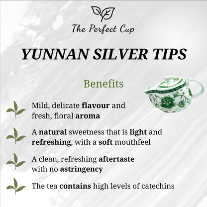 Yunnan Silver Tips - China Loose Leaf Green Tea