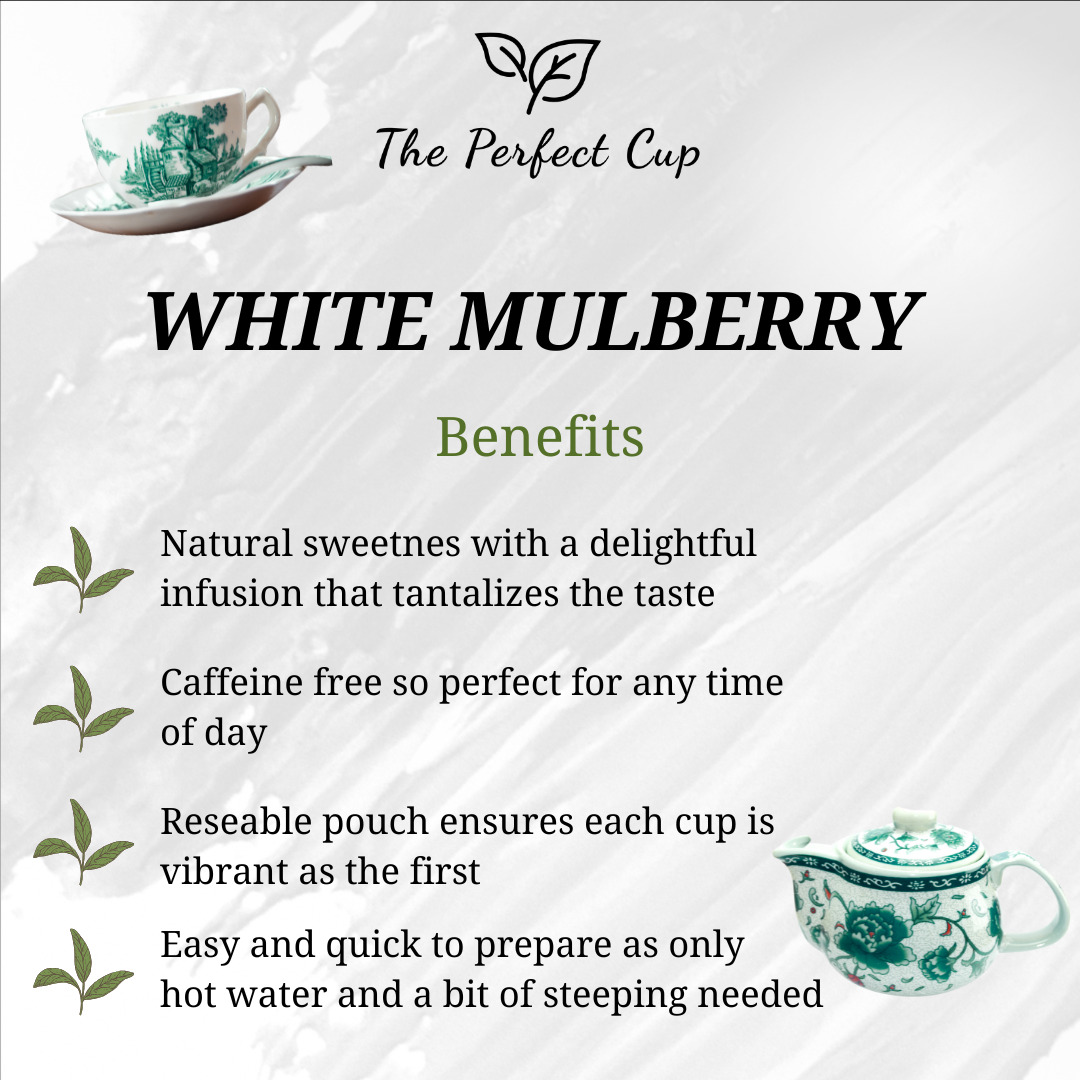 White Mulberry Leaf - Best Quality Loose Leaf Herbal Tea