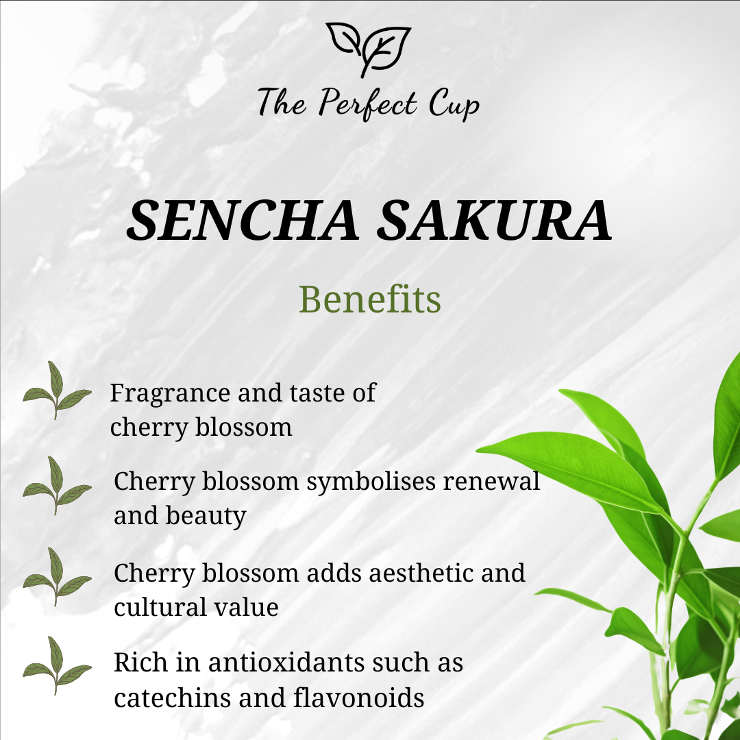 Sencha Sakura - Loose Leaf Green Tea