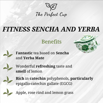 Fitness Sencha and Yerba - Green Loose Leaf Tea