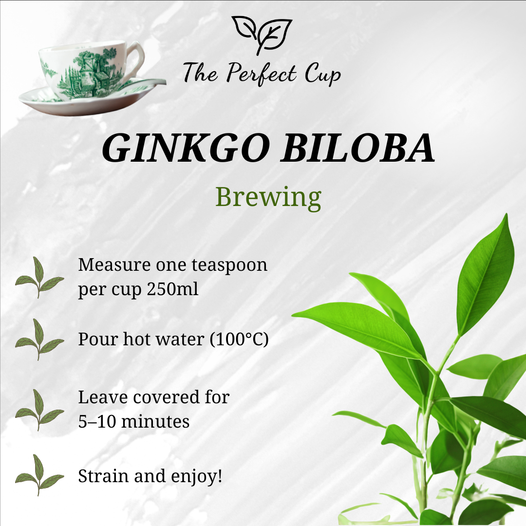 Ginkgo Biloba Tree - Loose Leaf Hebal Tea