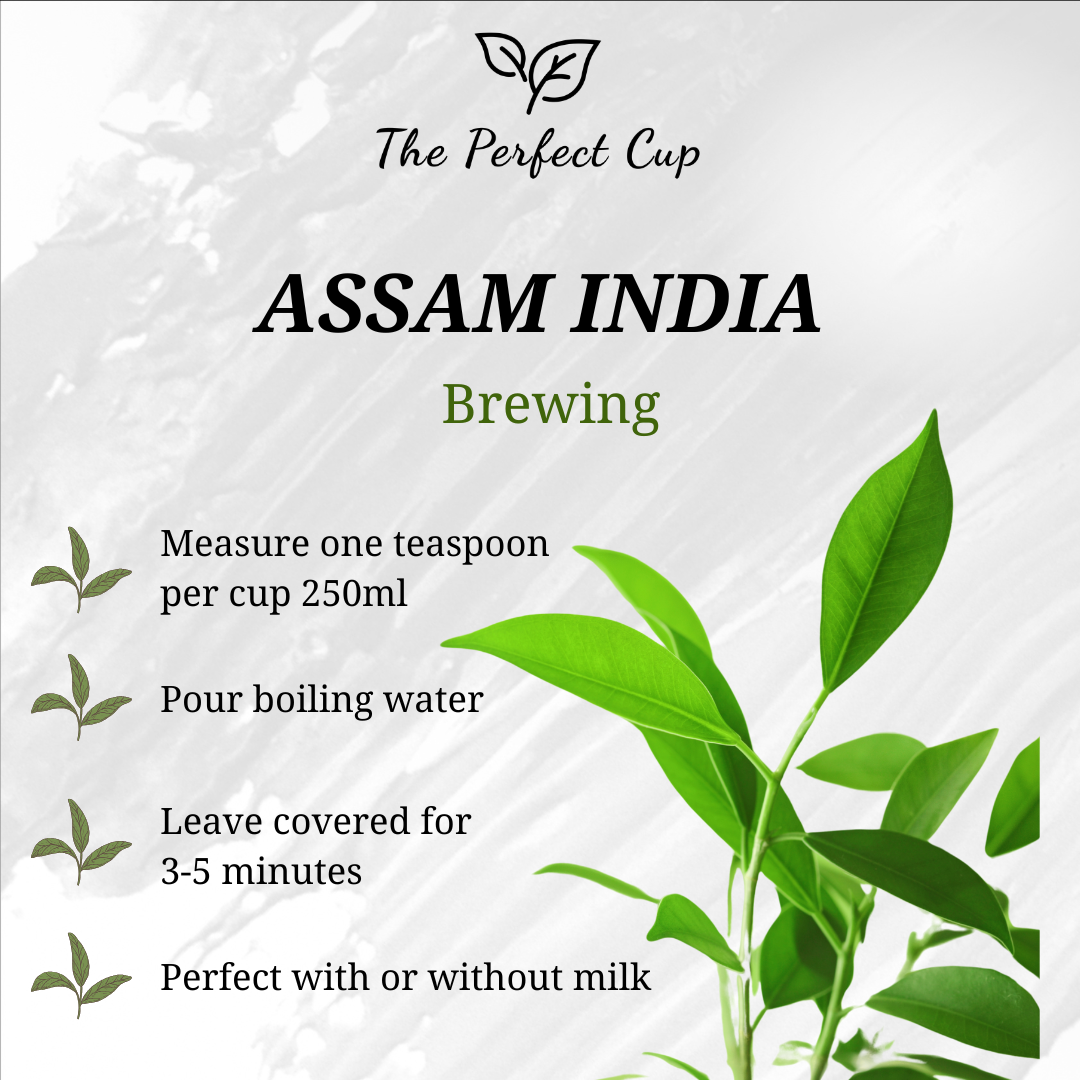 Assam India TGFOP - Black Loose Leaf Tea