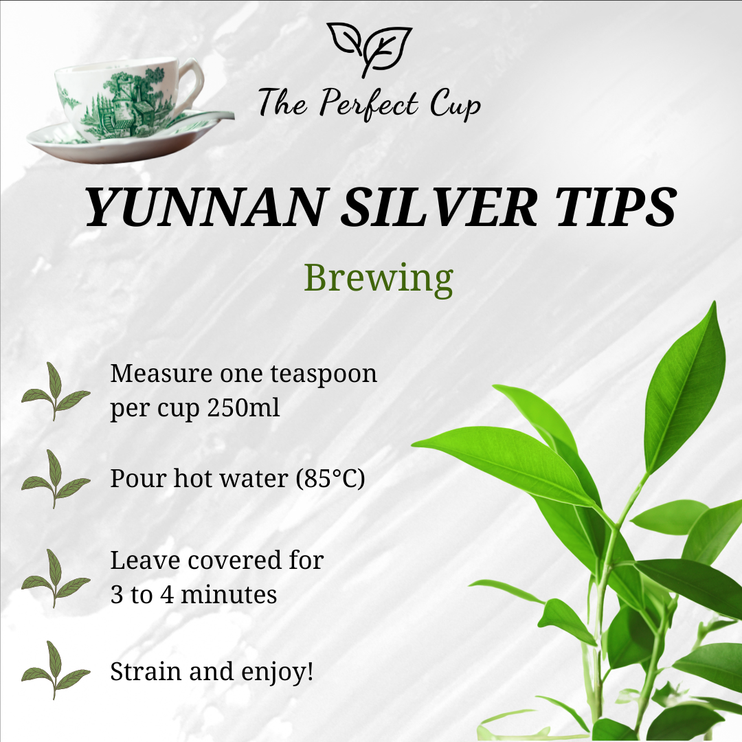 Yunnan Silver Tips - China Loose Leaf Green Tea