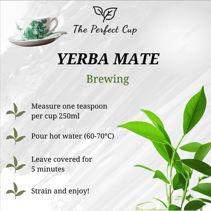 Yerba Mate - Magic Dream - Delicious Loose Leaf Green Tea