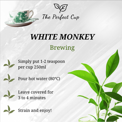 White Monkey (Bai Mao Hou) - Premium Chinese White Tea