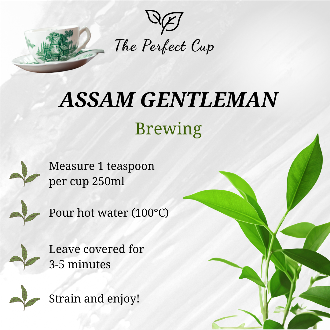 Assam Gentleman FTGFOP - Black Loose Leaf Tea