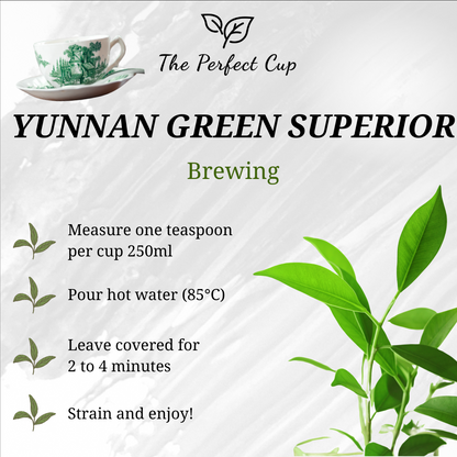 Yunnan Green Superior - China Loose Leaf Green Tea