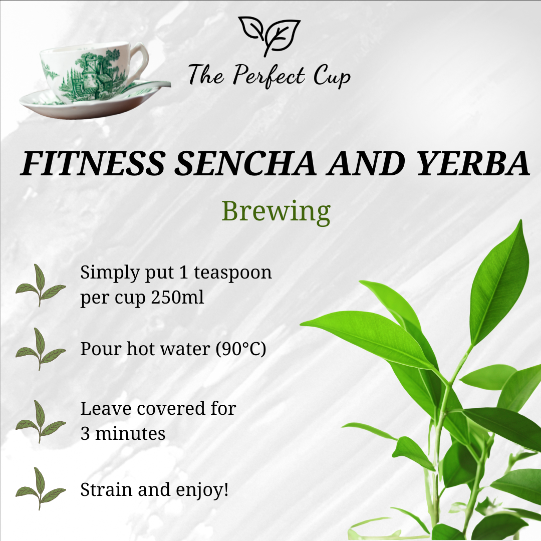 Fitness Sencha and Yerba - Green Loose Leaf Tea