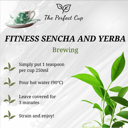 Fitness Sencha and Yerba - Green Loose Leaf Tea