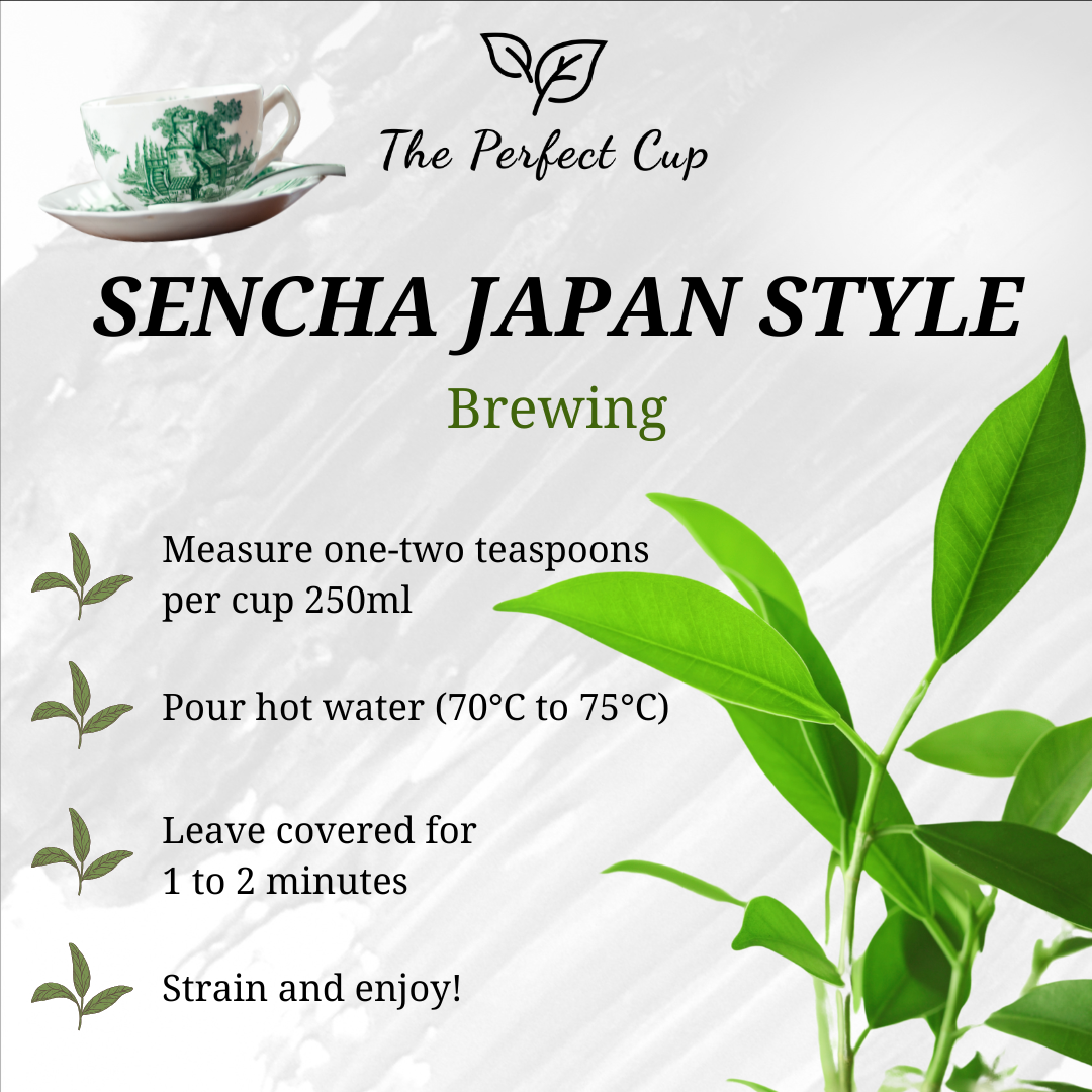 Sencha Japan Style Organic - Premium Loose Leaf Green Tea