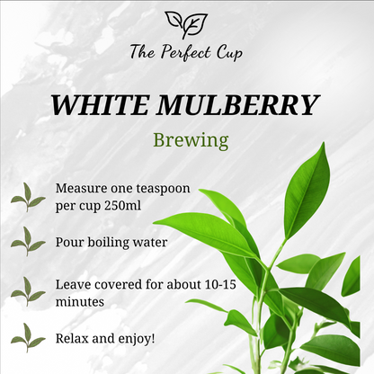 White Mulberry Leaf - Best Quality Loose Leaf Herbal Tea