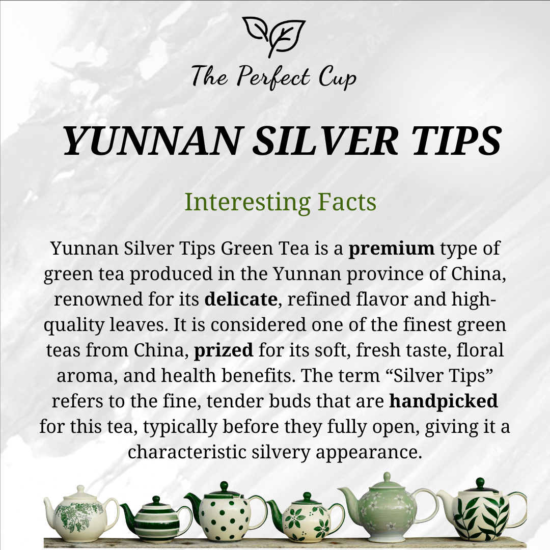 Yunnan Silver Tips - China Loose Leaf Green Tea