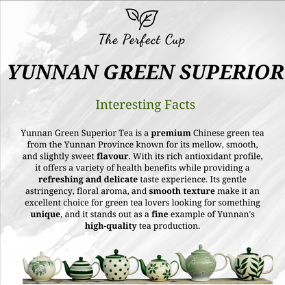 Yunnan Green Superior - China Loose Leaf Green Tea