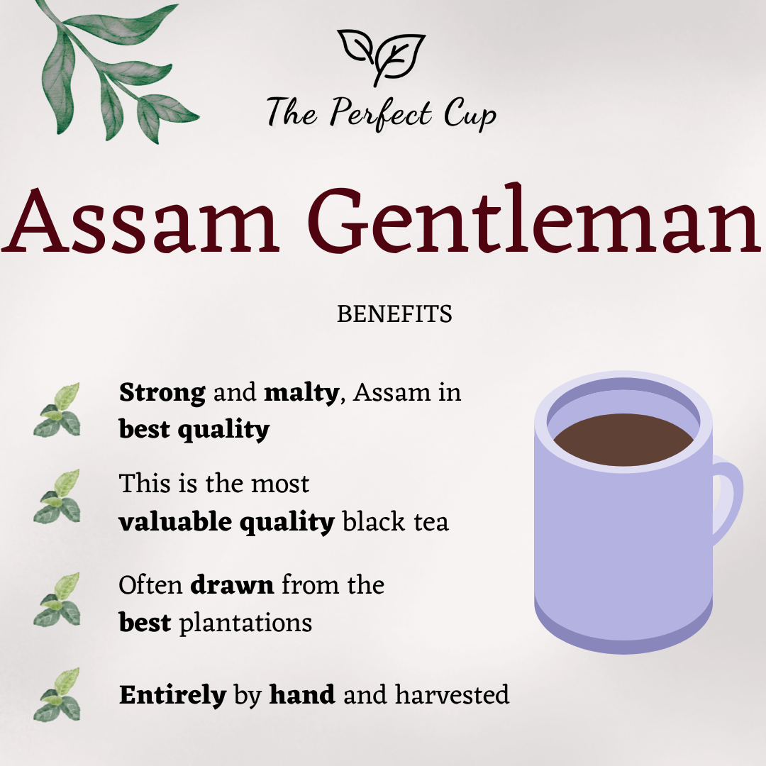 Assam Gentleman FTGFOP - Black Loose Leaf Tea