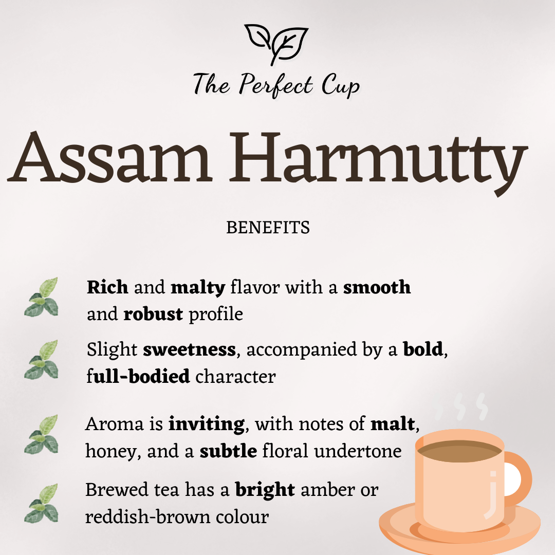 Assam Harmutty SFTGFOP1 - Loose Leaf Black Tea