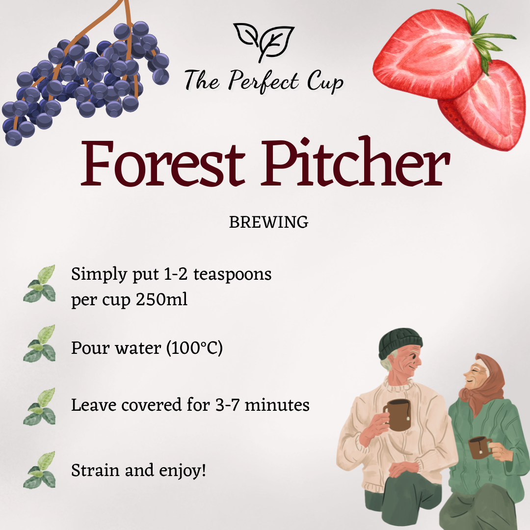 Forest Pitcher - Fruit Loose Leaf Tea