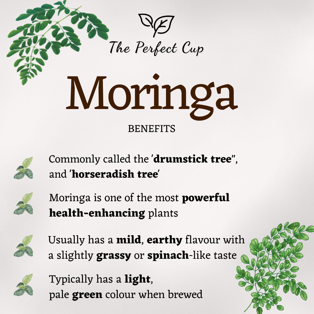 Moringa Oleifera - Dried Moringa Leaves