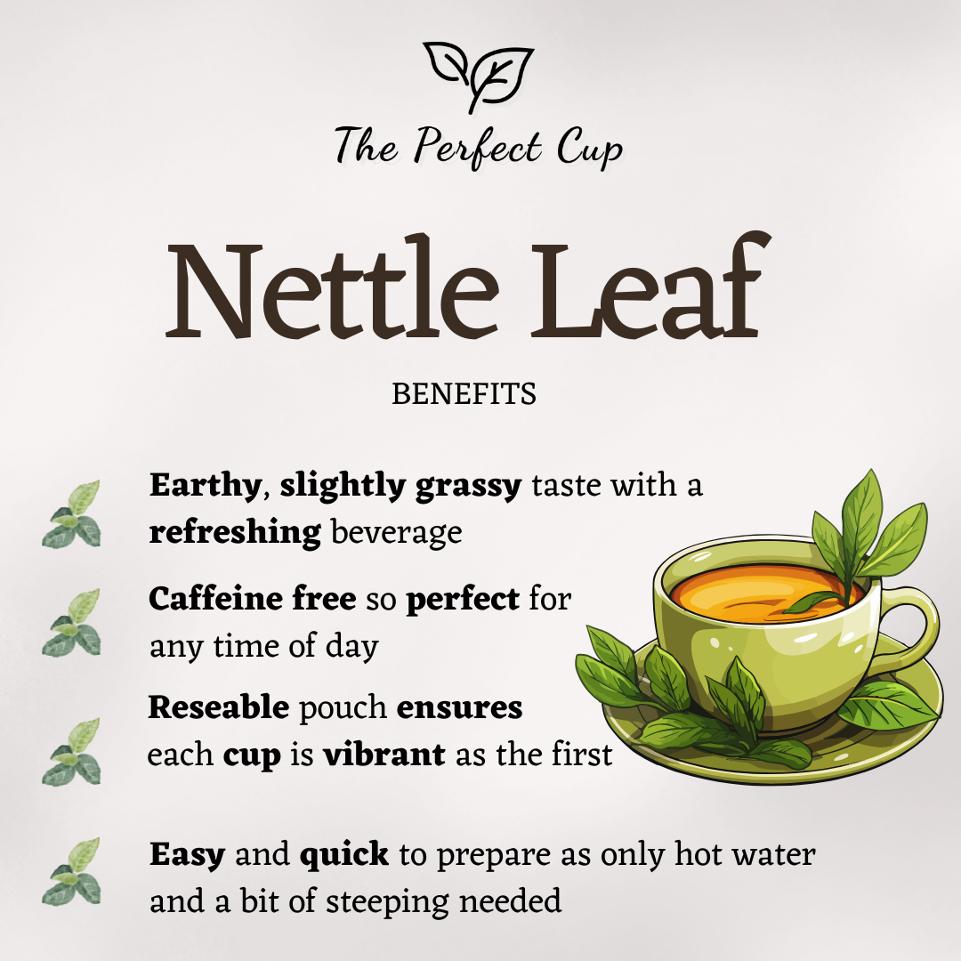 Nettle Leaf - Loose Leaf Herbal Tea