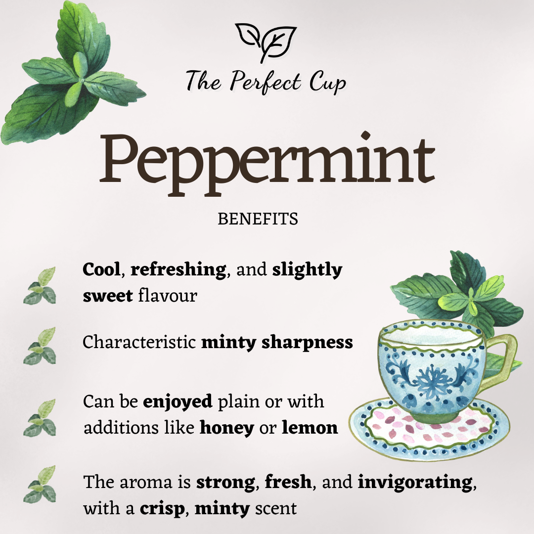 Peppermint - Loose Leaf Herbal Tea - The Highest Quality Mint Leaves