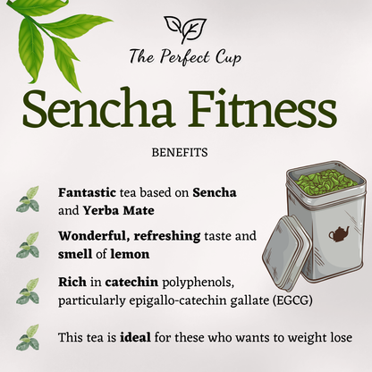 Fitness Sencha and Yerba - Loose Leaf Green Tea