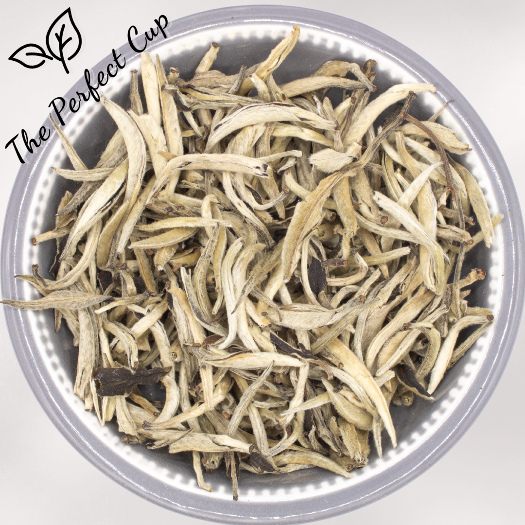 Silver Needle (Bai Hao Yin Zhen)- Premium Loose Leaf White Tea