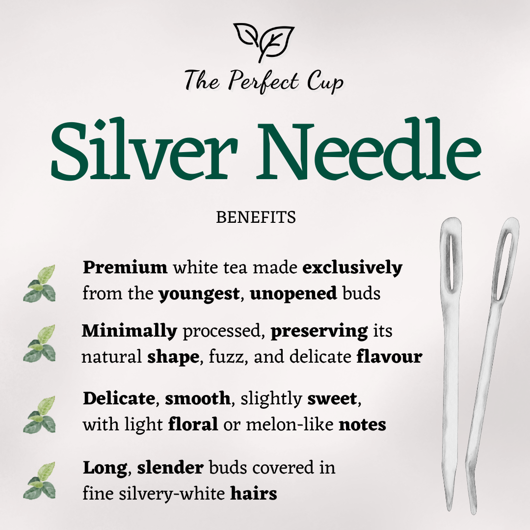 Silver Needle (Bai Hao Yin Zhen)- Premium Loose Leaf White Tea