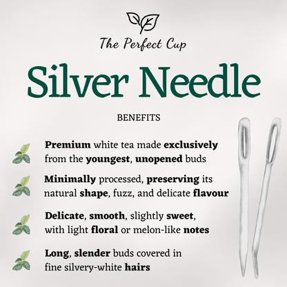 Silver Needle (Bai Hao Yin Zhen)- Premium Loose Leaf White Tea