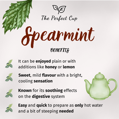 Spearmint - Herbal Tea - Fine Grade Mint Leaves