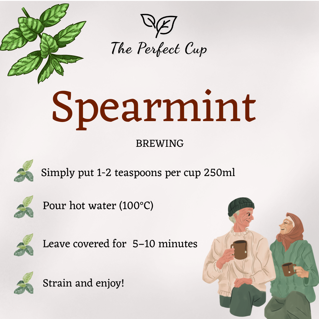 Spearmint - Loose Leaf Herbal Tea - Fine Grade Mint Leaves