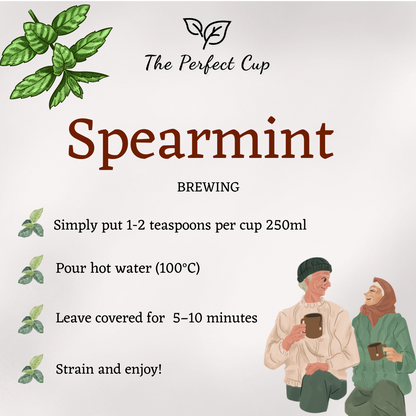 Spearmint - Loose Leaf Herbal Tea - Fine Grade Mint Leaves