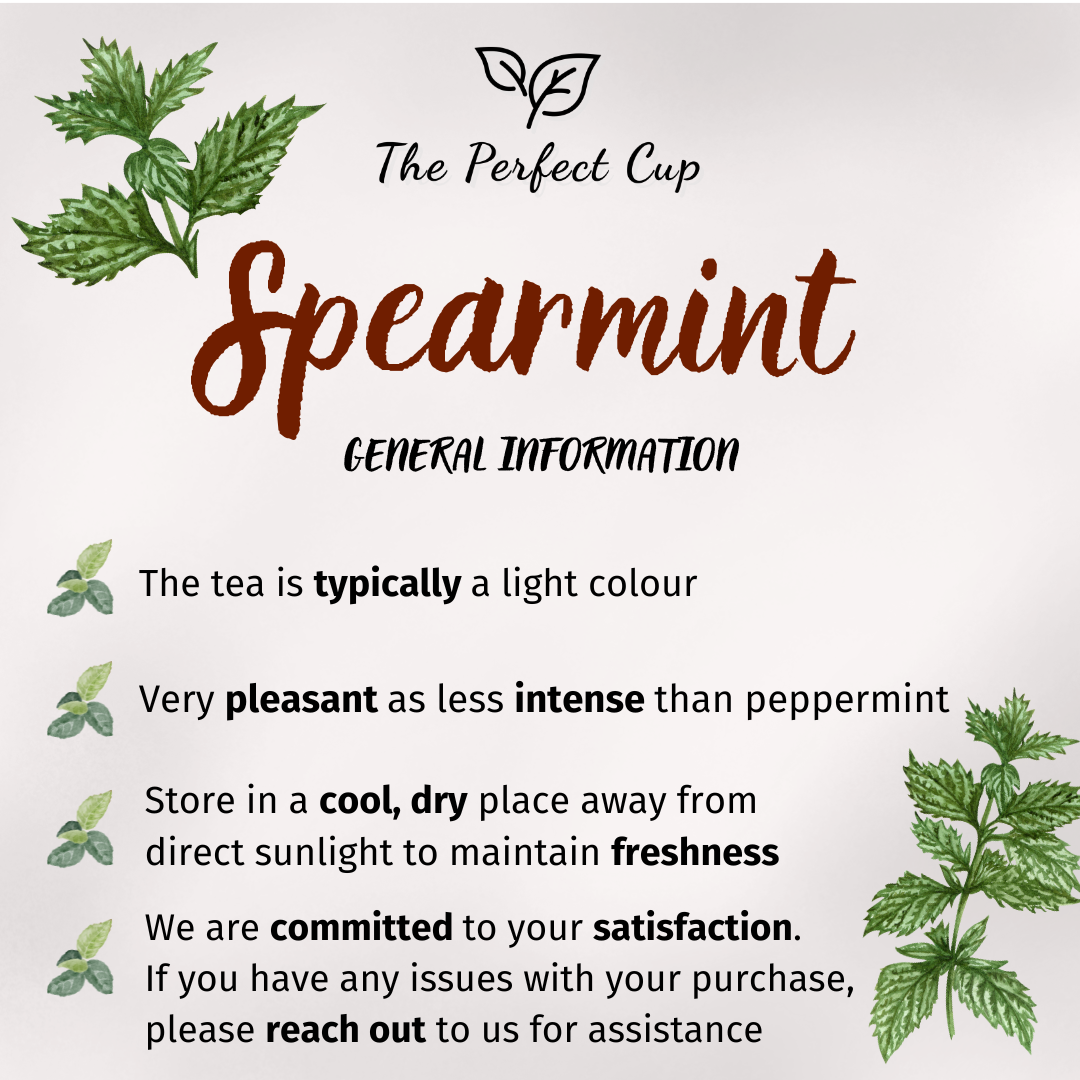 Spearmint - Herbal Tea - Fine Grade Mint Leaves