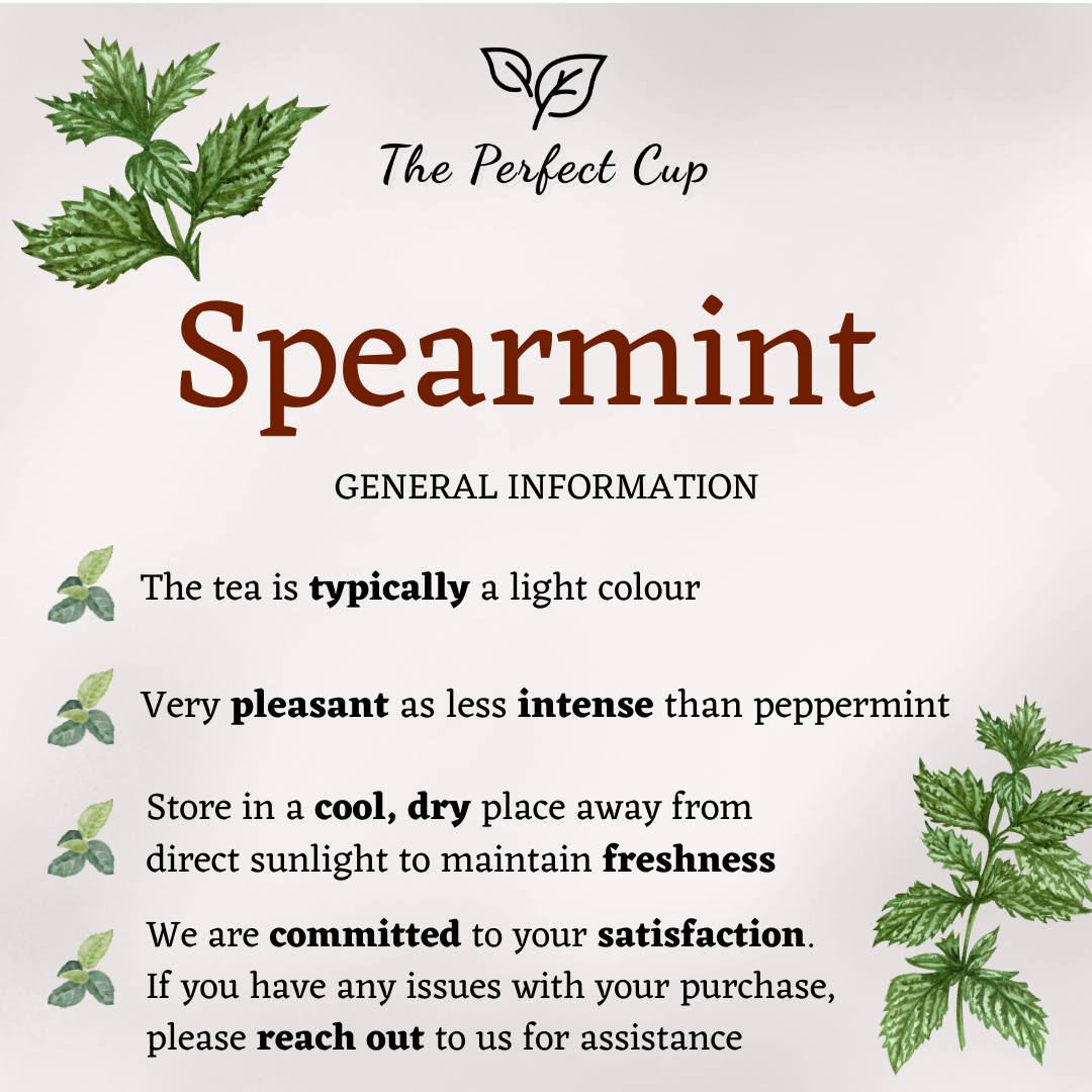 Spearmint - Loose Leaf Herbal Tea - Fine Grade Mint Leaves