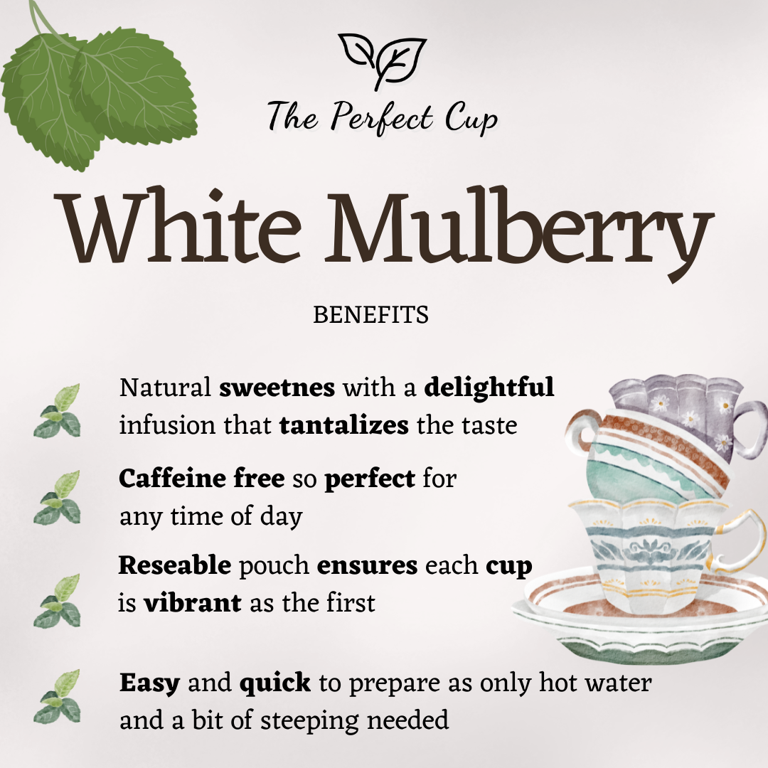 White Mulberry Leaf - Best Quality Loose Leaf Herbal Tea