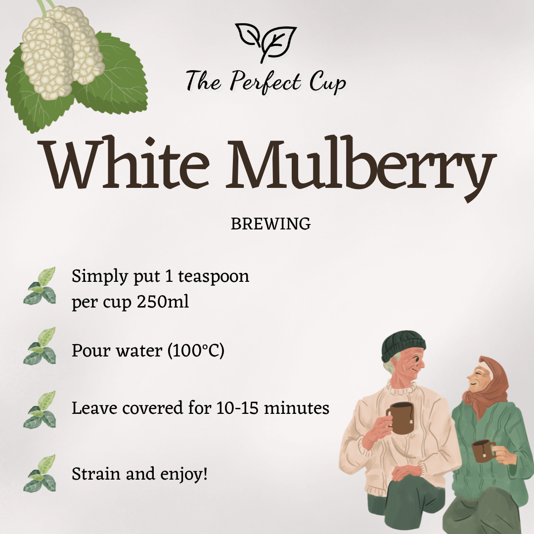 White Mulberry Leaf - Best Quality Loose Leaf Herbal Tea